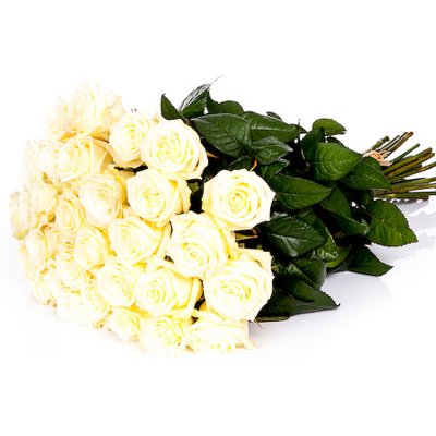 White Roses