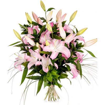 Magical Stargazer Lilies