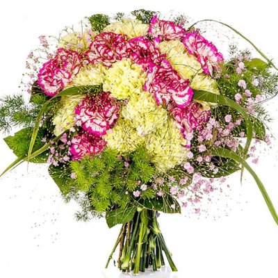 Carnations and Gypsophila