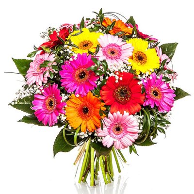 Coloured mini Gerberas