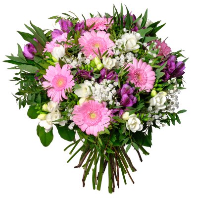 Freesias & Alstroemerias