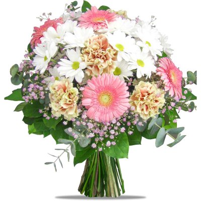 Carnations and mini Gerberas