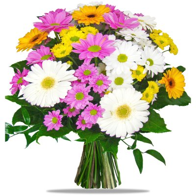 Cheerful mini Gerberas