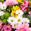 Freesias and mini gerberas