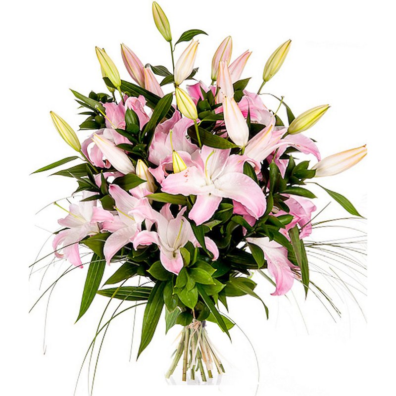 Luxury Lilies